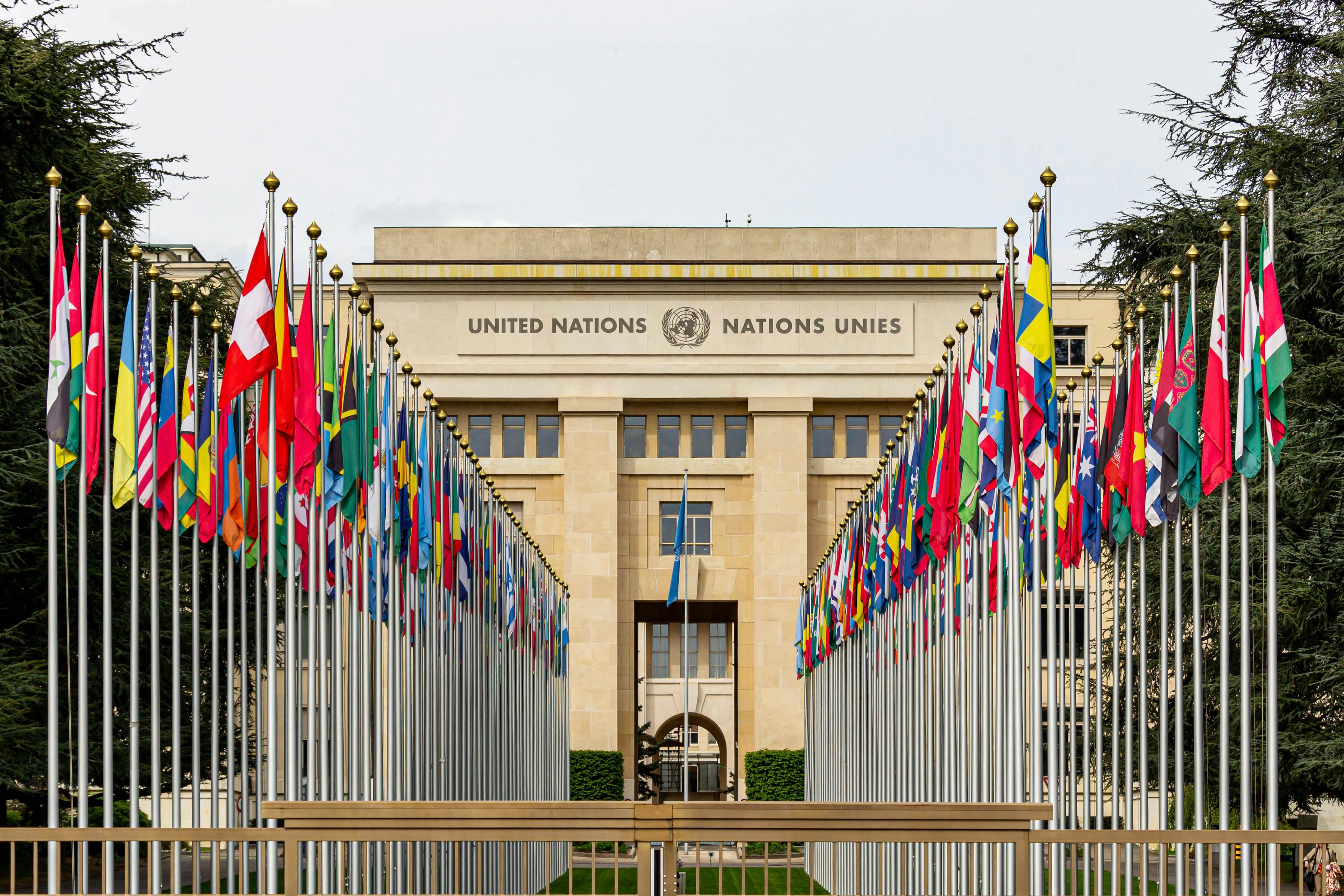 What are multilateral tenders? - Public procurement and tender insights from BidRadar