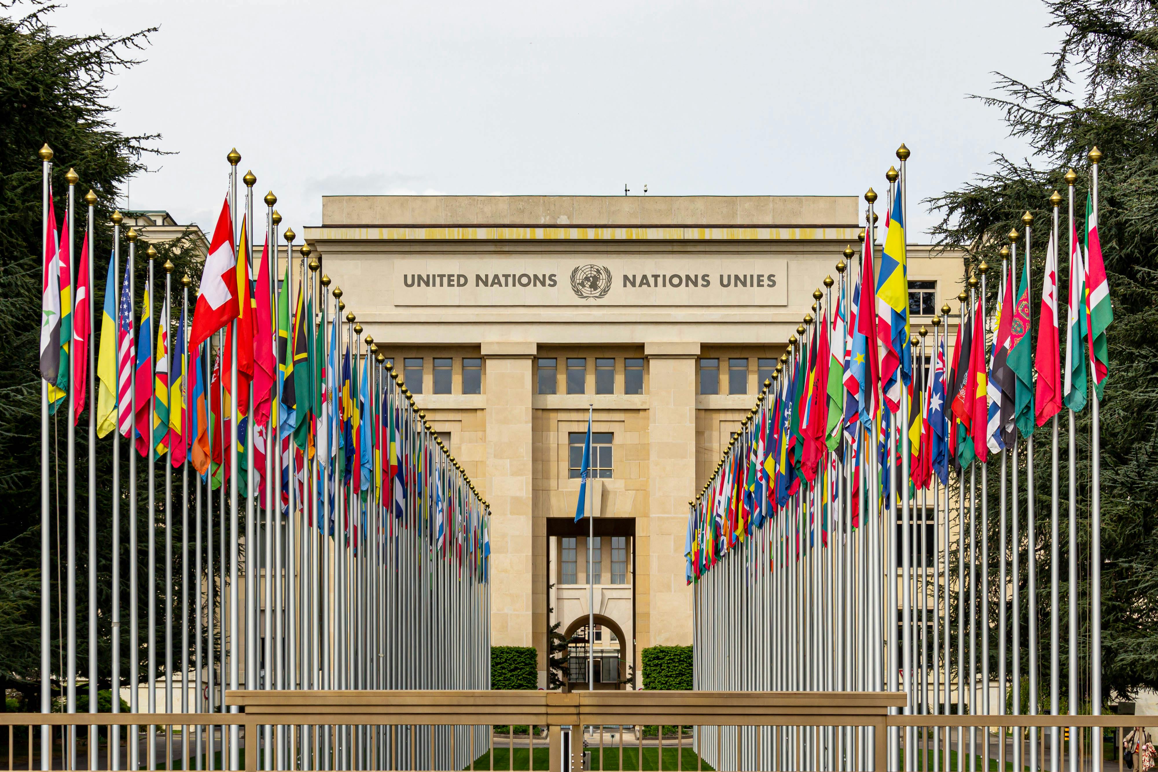 What are multilateral tenders? - Public procurement and tender insights from BidRadar